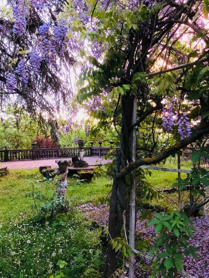 Charme Of Villa Capannina โนวีลิกูเร ภายนอก รูปภาพ